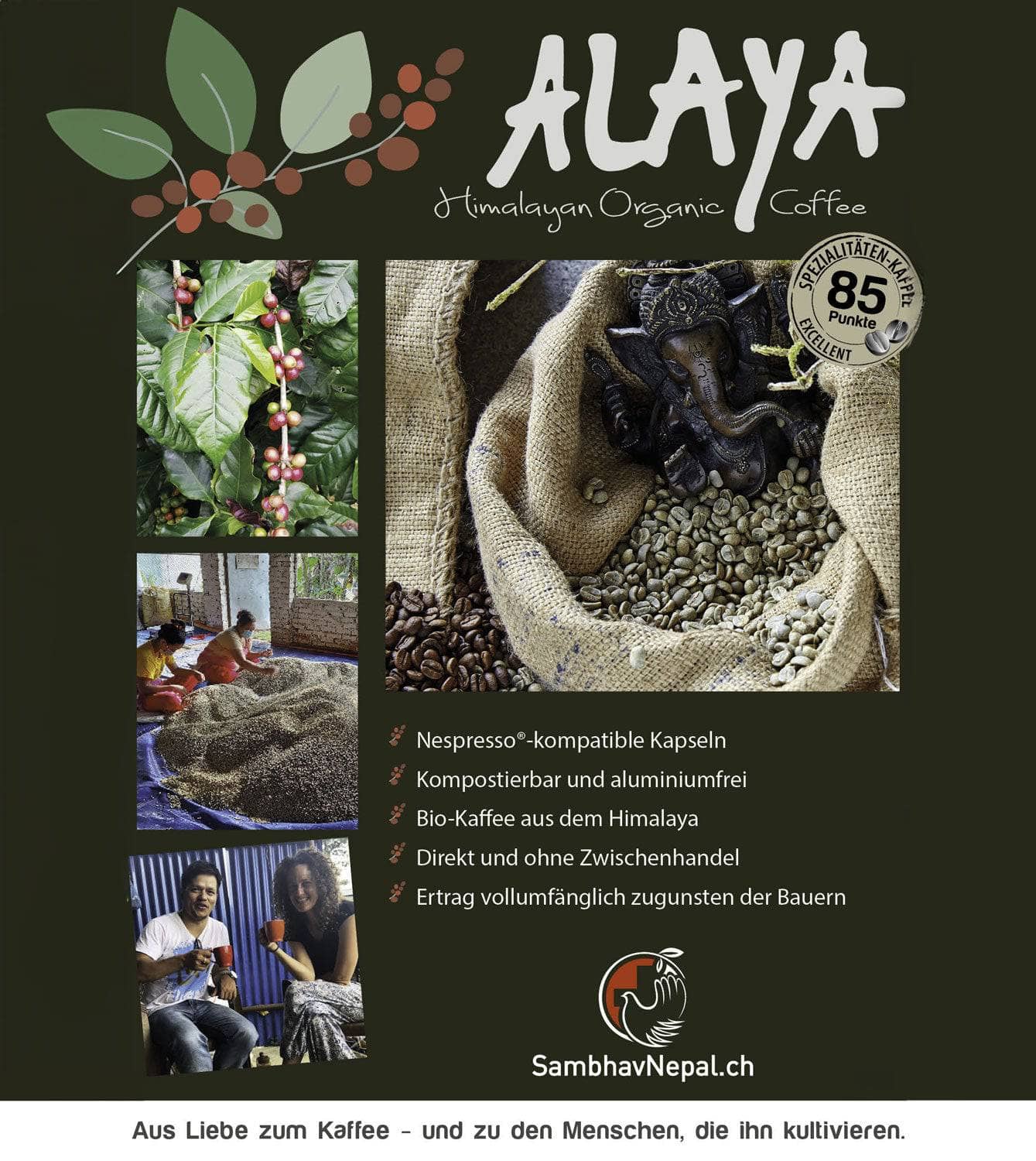 «Mit Ecken und Kanten» ALAYA Kompostierbare Kaffeekapseln - Tamino Espresso (-50%)