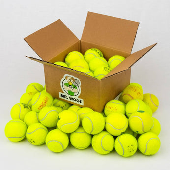 Wurfspielzeug für Hunde: wiederverwertete Tennisbälle 