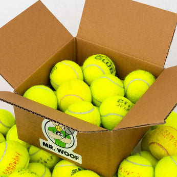 Wurfspielzeug für Hunde: wiederverwertete Tennisbälle 