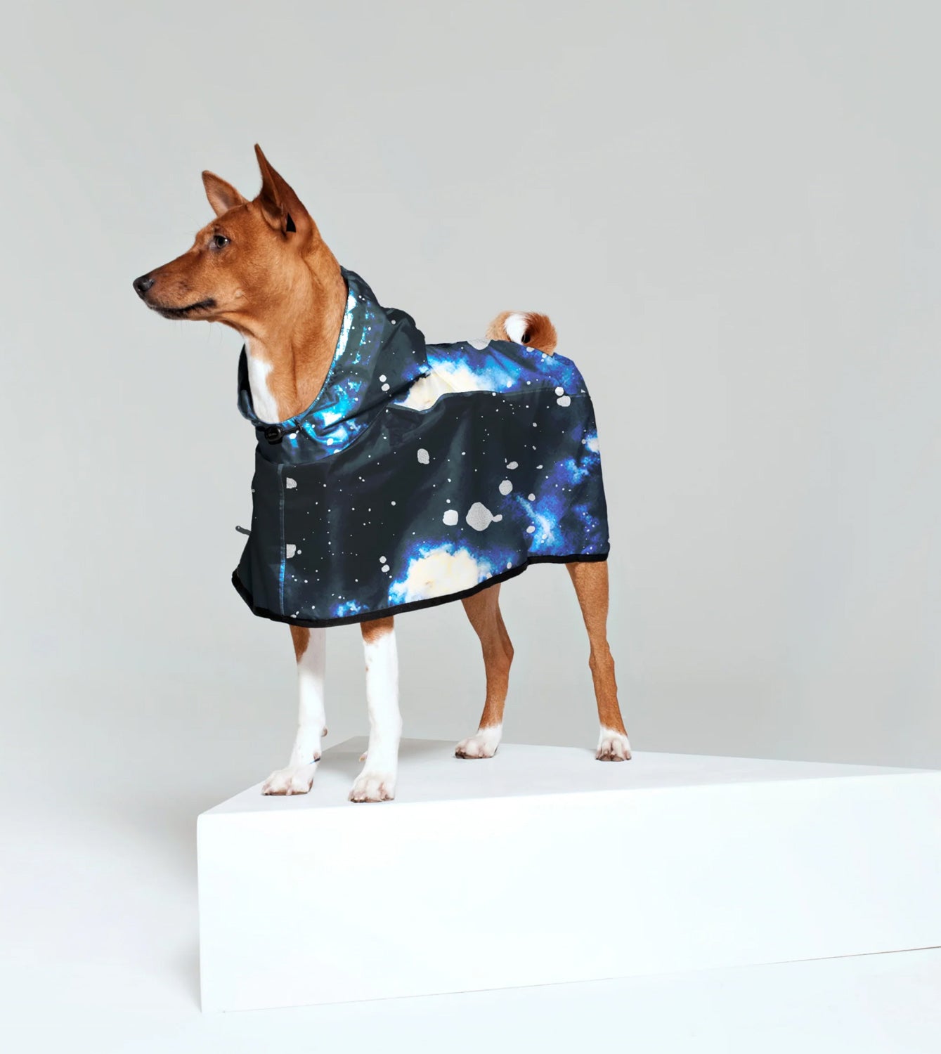 Hunde Poncho aus recyceltem Polyester