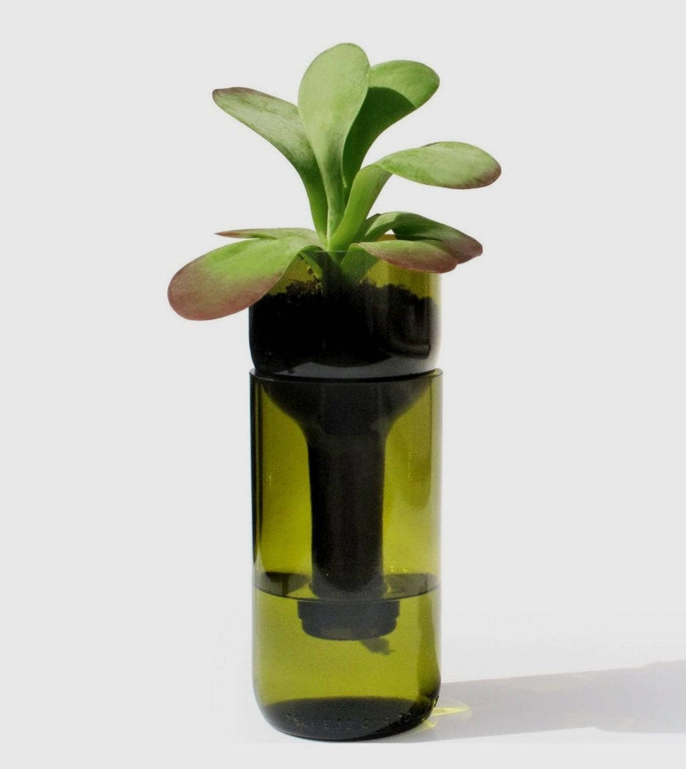 Selbstbewässerndes Pflanzgefäss