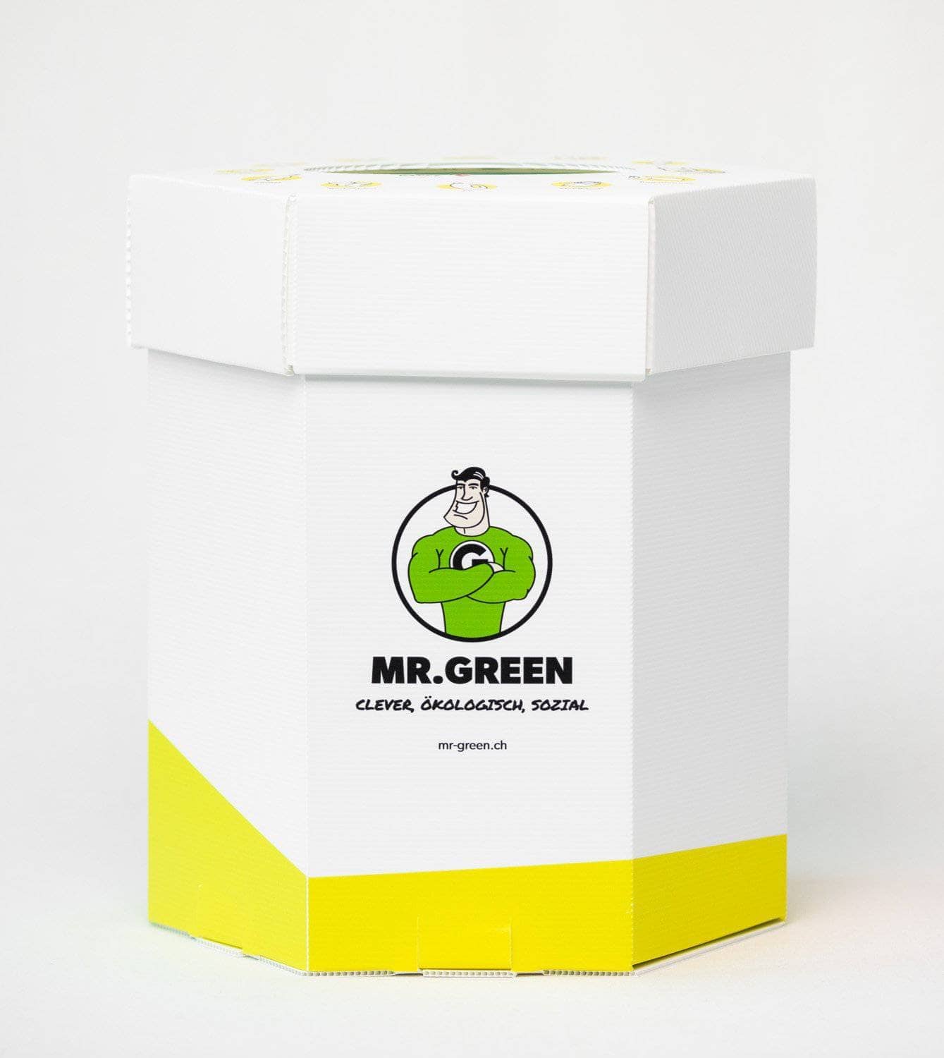 Info-Sammelbox «Carlito Plastico» 35L